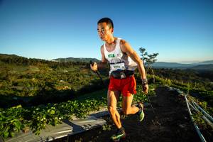 BIB: 
                            <button type="button" onclick="openModal(19108339)" class="btn btn-primary btn-sm float-right btn-popup" data-toggle="modal" data-target=".modal-high-quality">
                        <i class="fas fa-shopping-cart"></i> Add to Cart
                    </button>
                                            <button type="button" onclick="isThisMe(19108339, true)" class="btn btn-success btn-sm float-right btn-popup btn-isme hidden" data-toggle="tooltip" data-placement="bottom" title="นี่คือรูปของคุณใช่ไหม คลิกที่นี่เพื่อเอาเข้าอัลบั้ม">
                        <i class="fas fa-plus"></i> Add to album
                    </button>
                    <button type="button" onclick="isThisMe(19108339, false)" class="btn btn-warning btn-sm float-right btn-popup btn-isnotme hidden">
                        <i class="fas fa-ban"></i> Remove from album
                    </button>